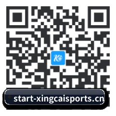 安卓版 Android 二维码